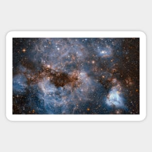NASA Hubble Space Telescope Image of Stellar Nursery LMC Sticker